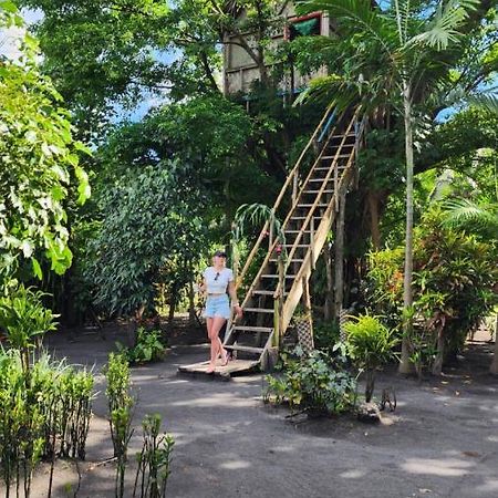 Tanna Volcano View Tree House Lenkuru Buitenkant foto