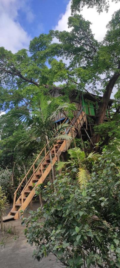Tanna Volcano View Tree House Lenkuru Buitenkant foto