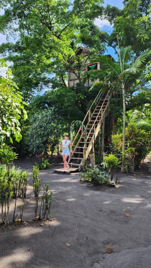Tanna Volcano View Tree House Lenkuru Buitenkant foto