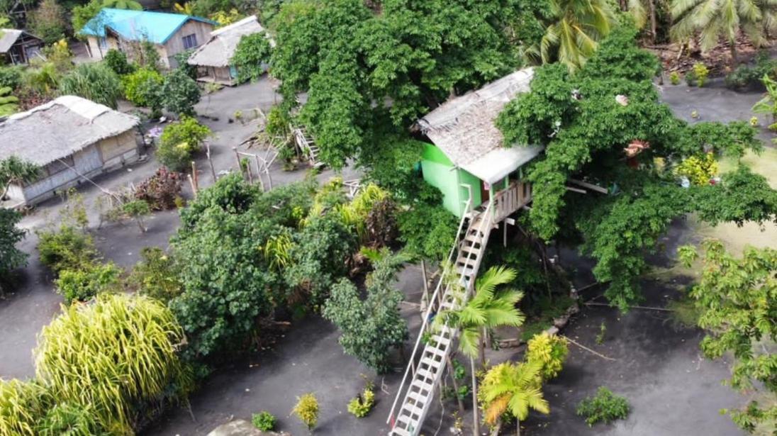 Tanna Volcano View Tree House Lenkuru Kamer foto