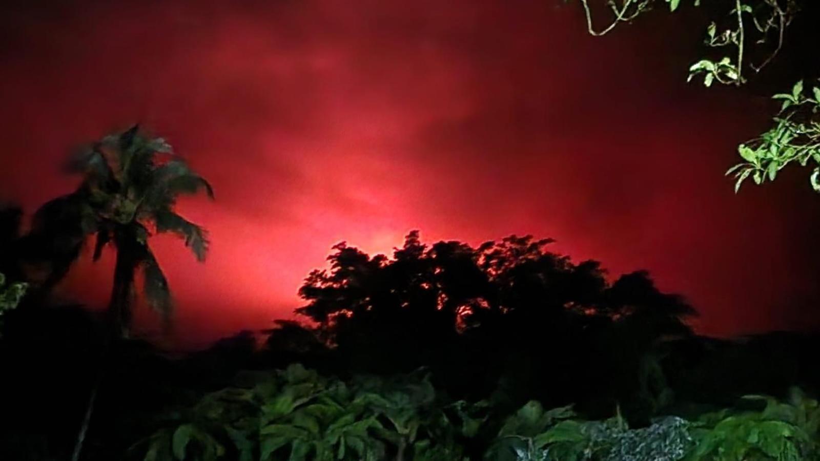Tanna Volcano View Tree House Lenkuru Buitenkant foto